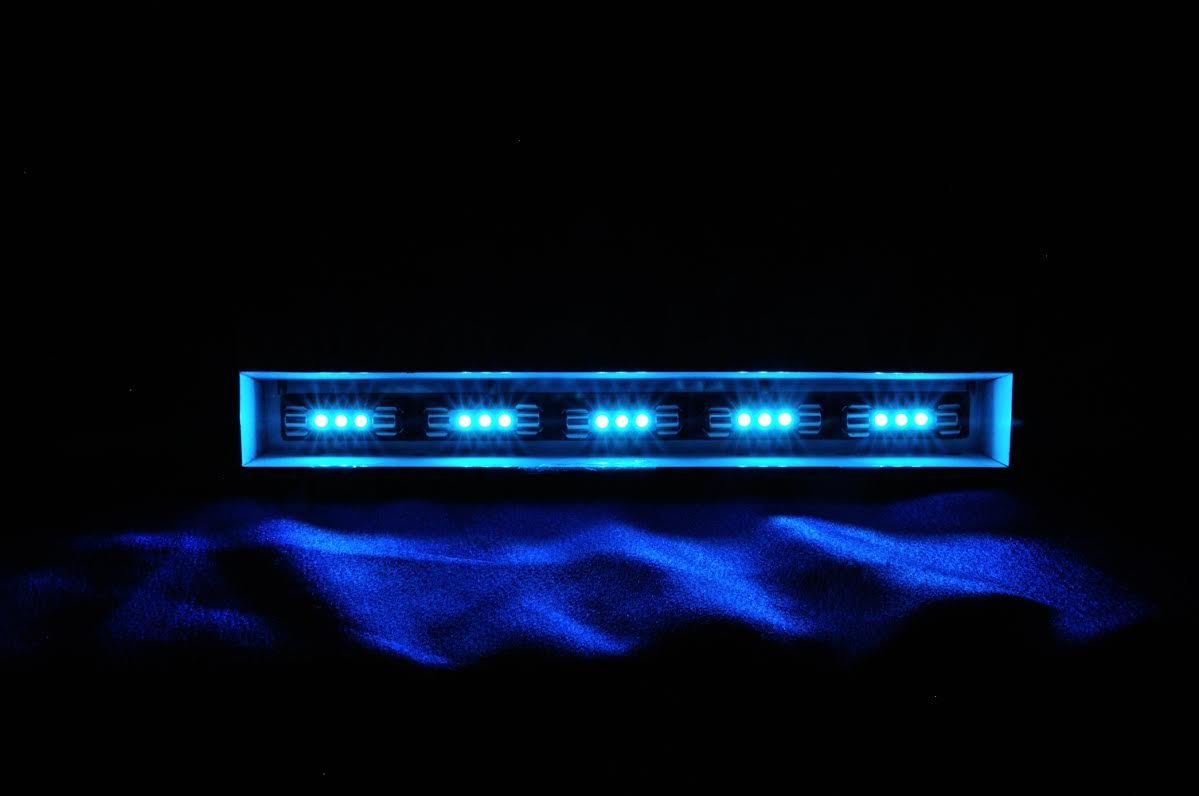 (100)8V-LED FUSE LAMP BLUE/WHITE-SX-424 SX525 626 SX939 SX1010 535 SX636/Pioneer