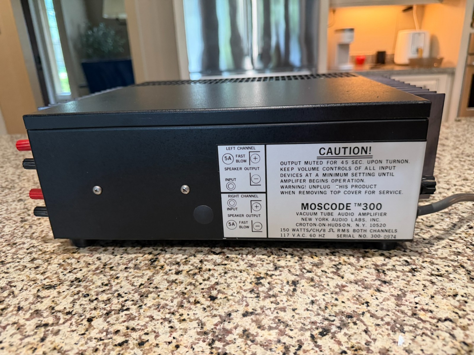 Moscode 300 Hybrid Tube Amplifier