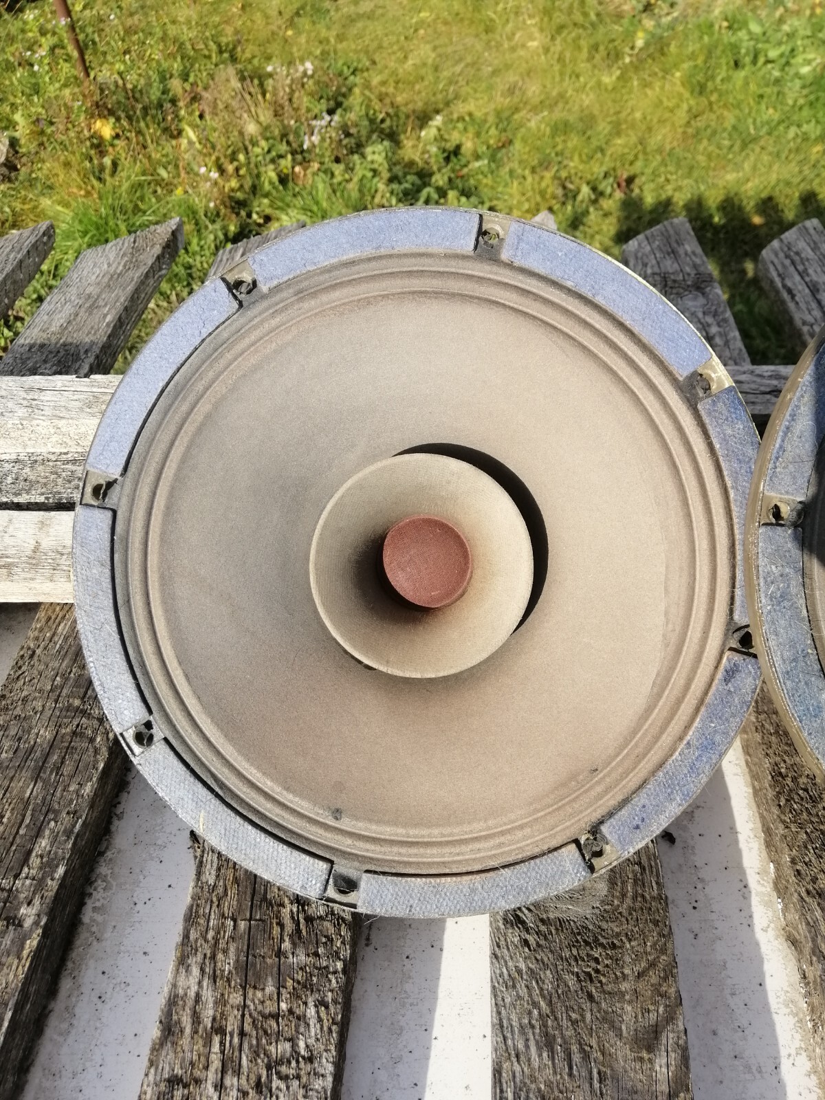 (x2) Pair of 11 inch paper full-range speakers 25GD18, vintage, USSR, Ferrit Mag