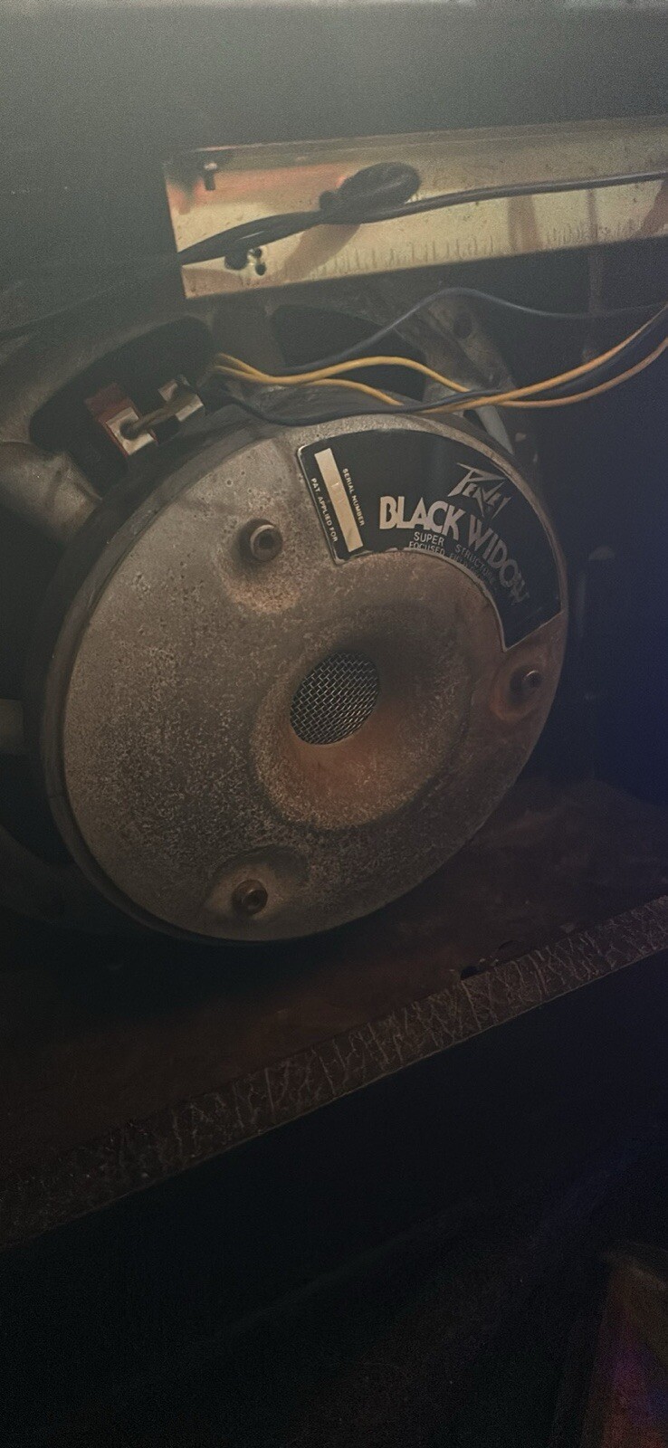 Black Widow Speaker Dean Marten Amp Reverb Don’t Work