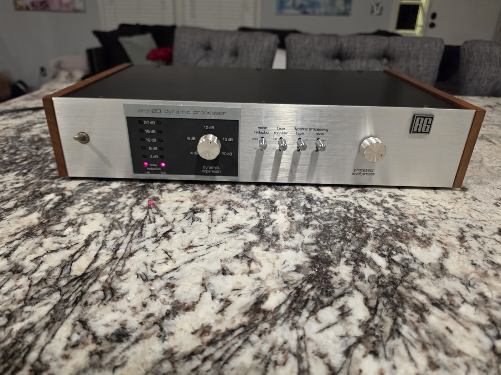 Vintage RG Pro-20 Stereo Dynamic Processor ( Read Description)