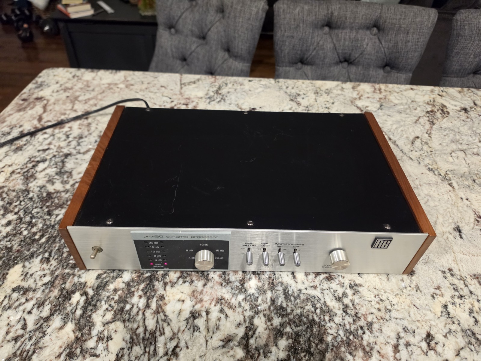 Vintage RG Pro-20 Stereo Dynamic Processor ( Read Description)