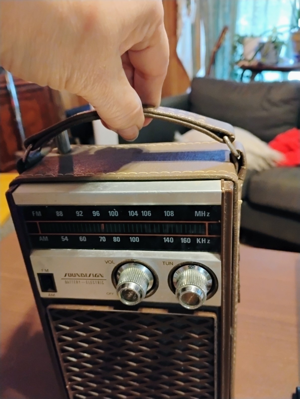 Vintage Sound Design AM/FM Radio AC Or DC Power Works Great And In Great Shape.