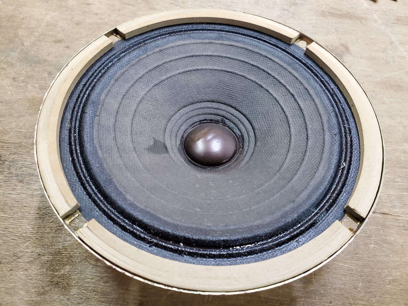 Realistic Radio Shack 1629 Full Range Speaker Driver, 5-1/2 Inches from 40-1248B