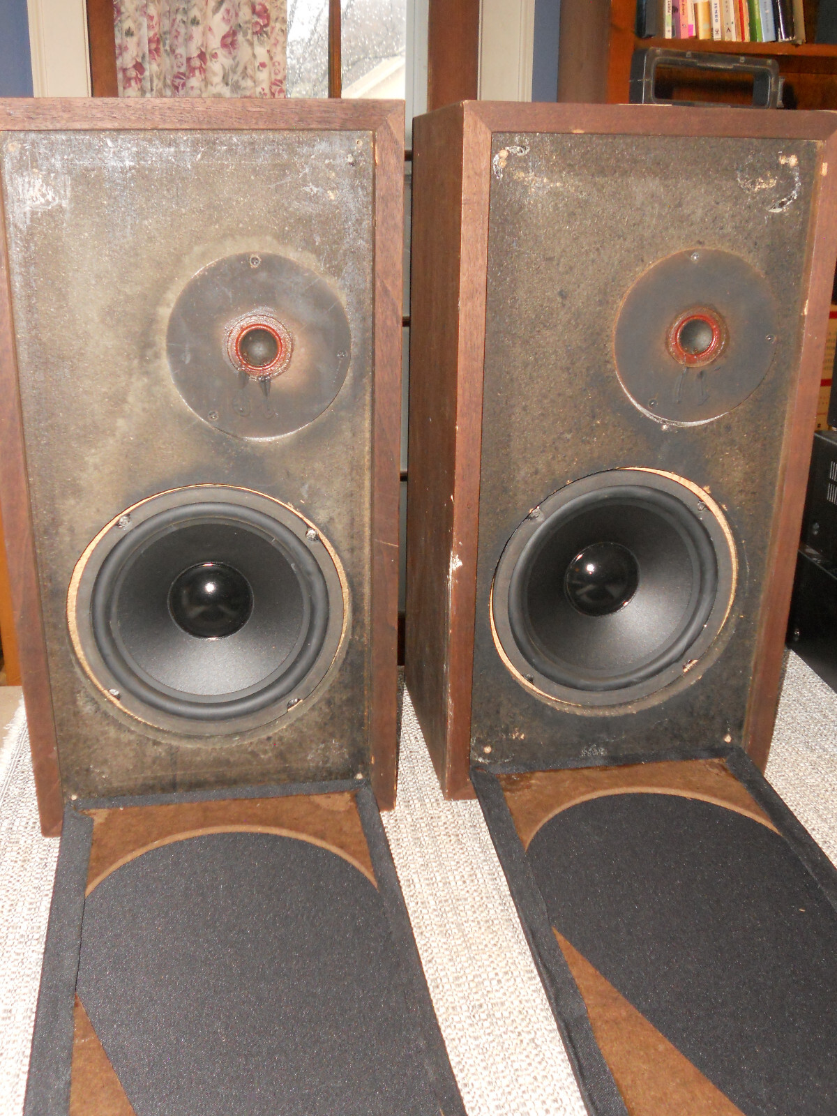 Epicure M100 Speakers First Generation