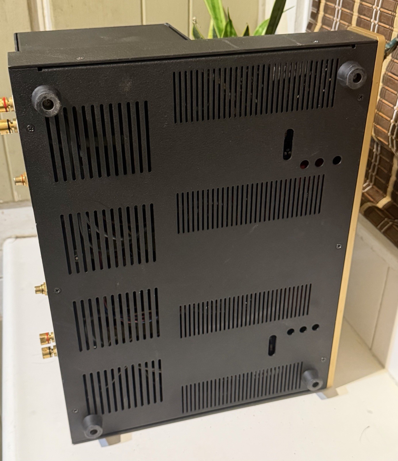 Golden Tube Audio SE-40 Power Amplifier W/ Sonic Craft Upgrade!
