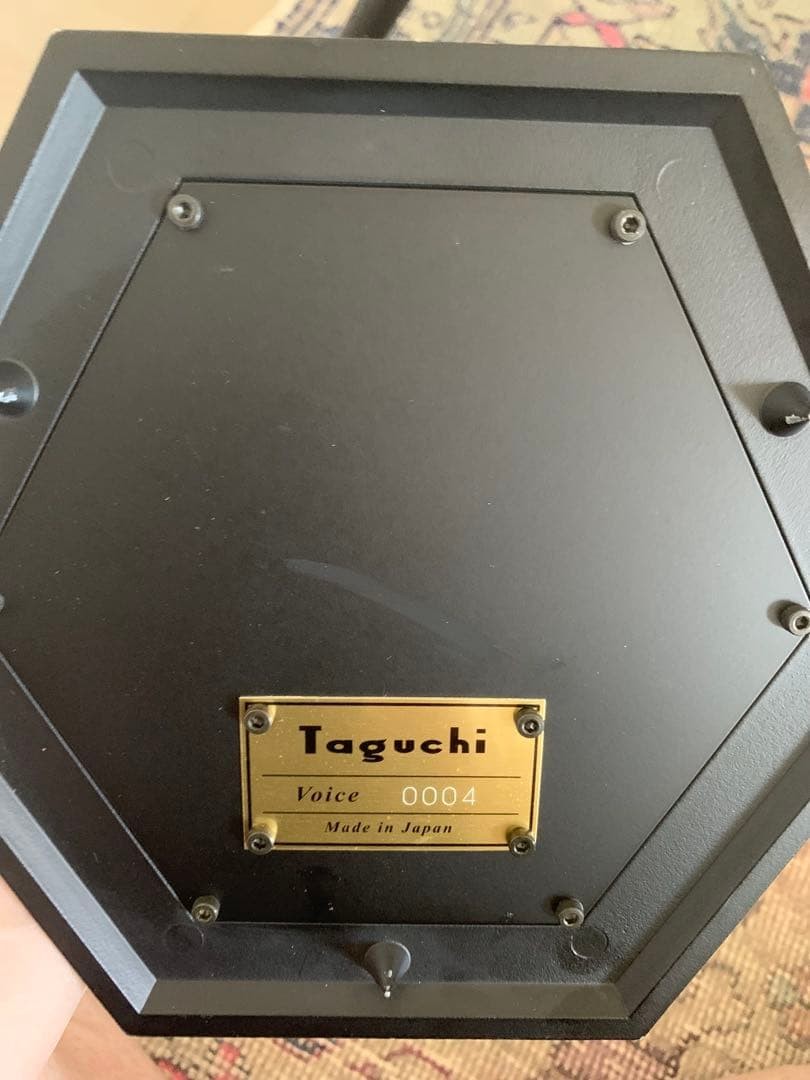 RARE TAGUCHI VOICE ACTIVE SPEAKER DISCONTINUED WITH ORIGINAL WOOD CASE JP HIFI01