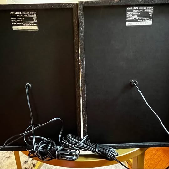 Vintage Aiwa SX-NA302 Bookshelf Speakers Pair 30w Silver & Black – Wired