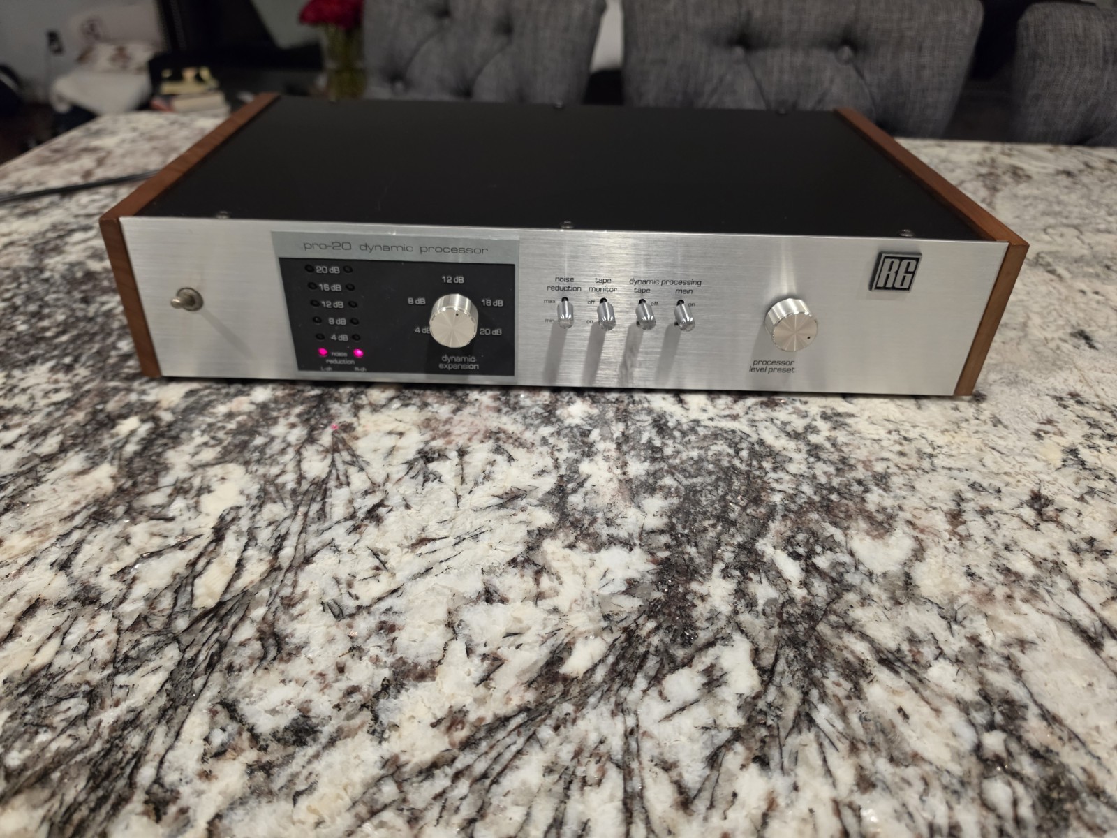 Vintage RG Pro-20 Stereo Dynamic Processor ( Read Description)