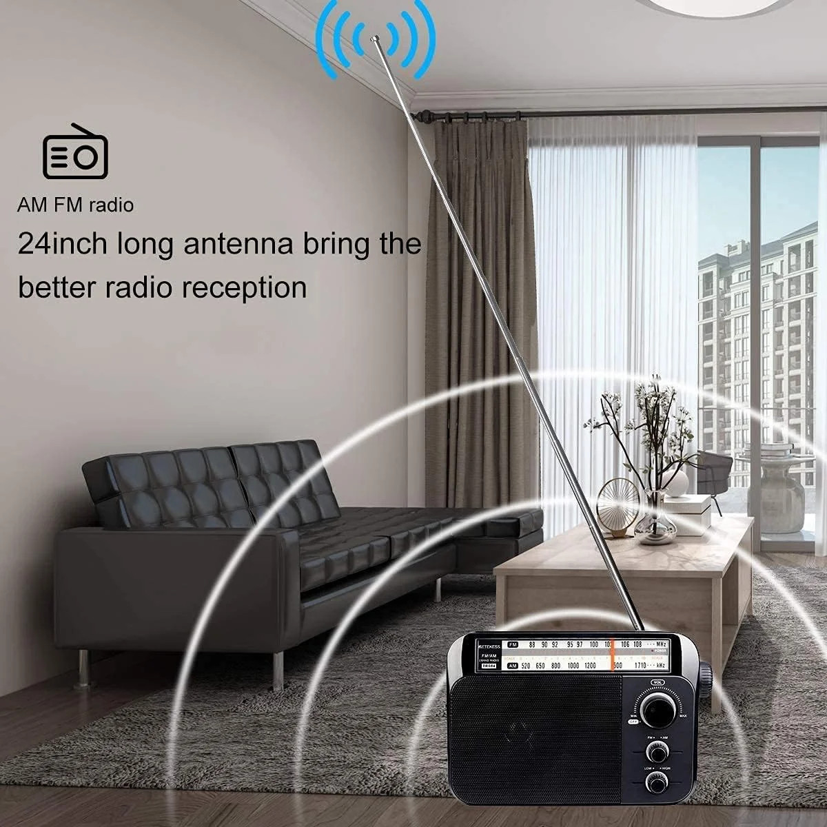 Retekess TR604 AM FM Radio,Portable Radio Plug in Wall,D Battery Operated,Large