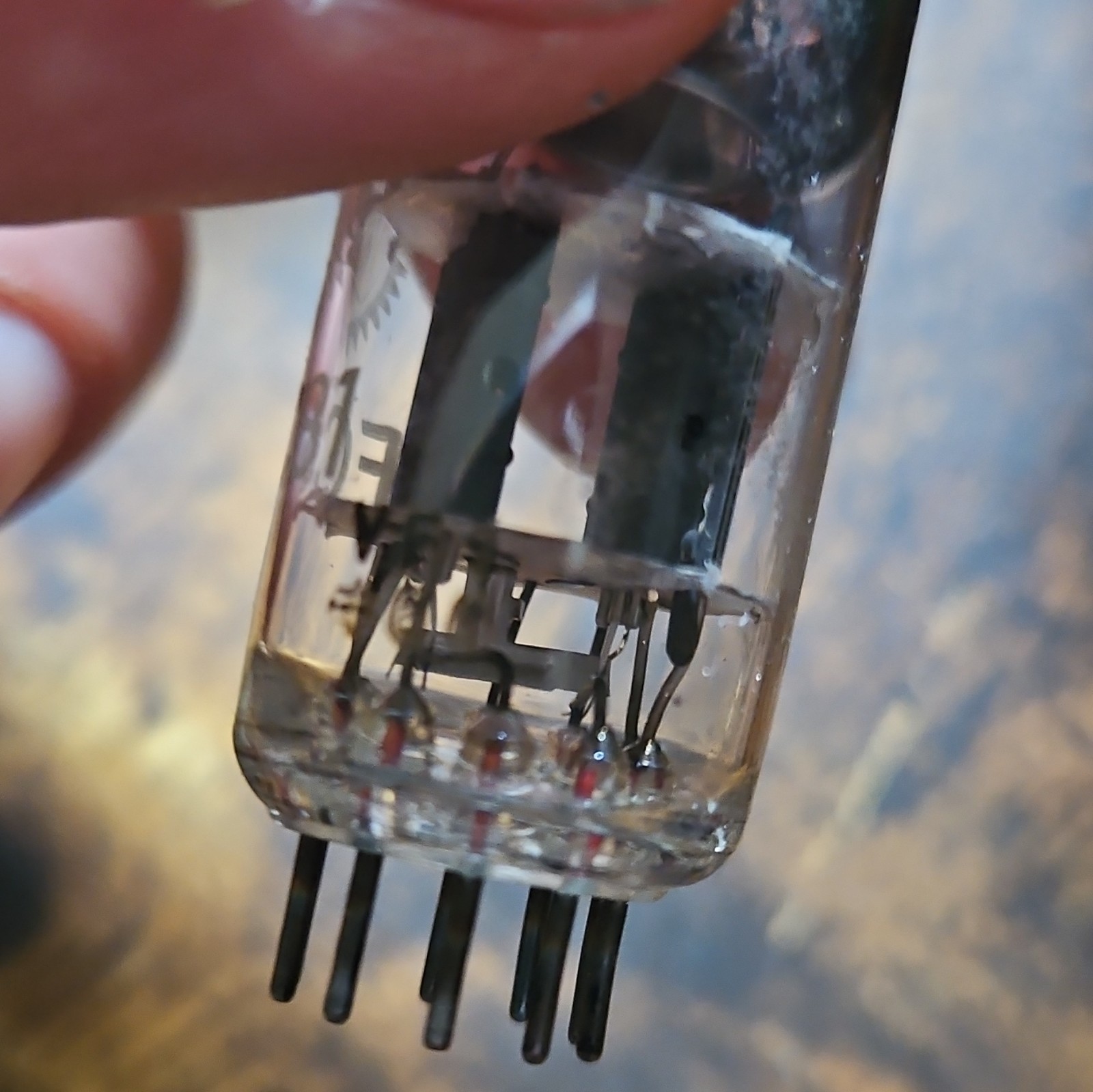 Valvo ECC81 Vacuum Tube Pair – ECC81 Model/Type