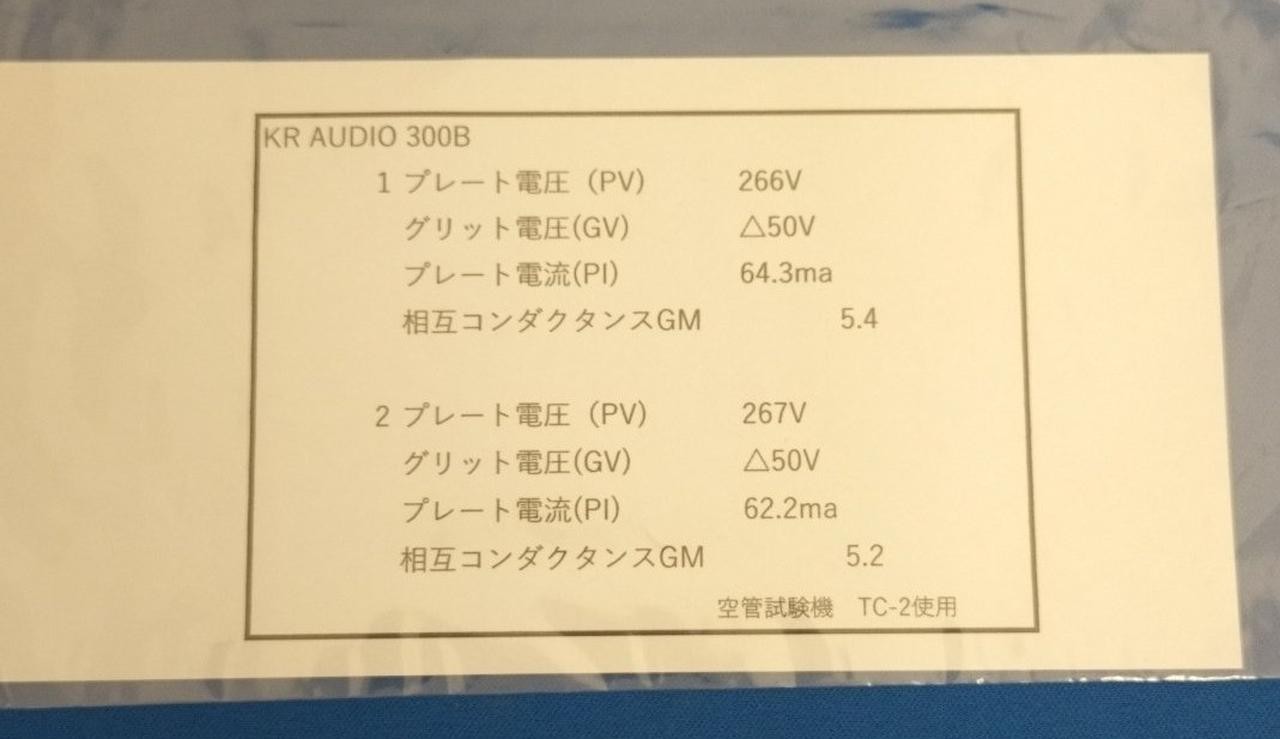 KR Audio 300B Matched Pair Vacuum Tubes Tested w/ Reports Made in Czech Republic