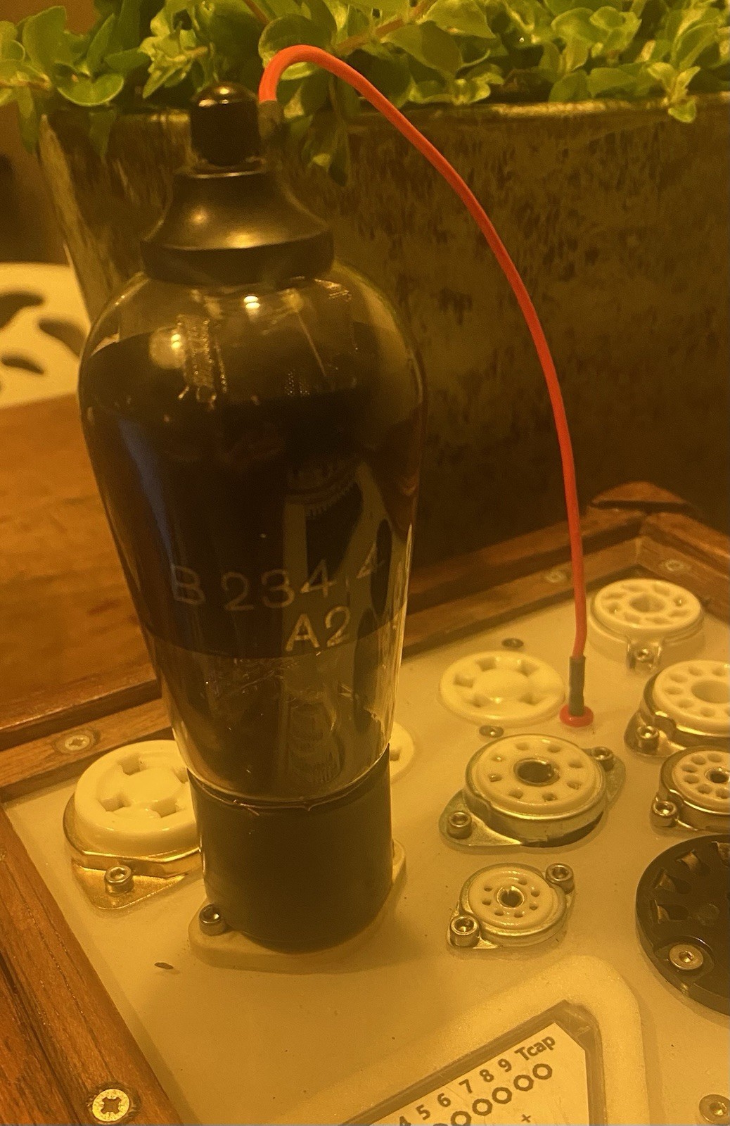 E446=RENS1284 NOS Philips Vacuum tube/Rohre/Lampe