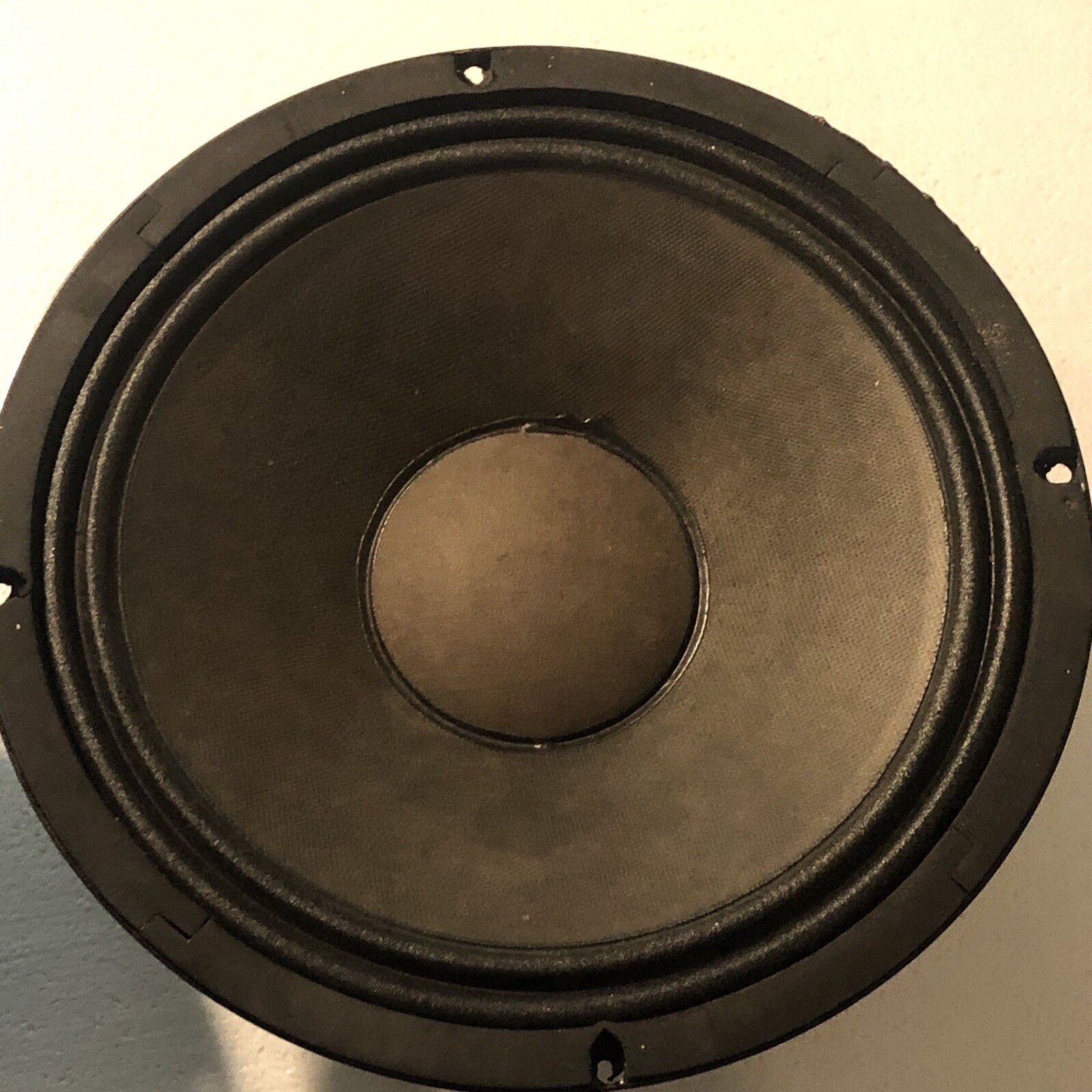 Replacement Generic/unbranded 10″ Woofer Speakers (pair)