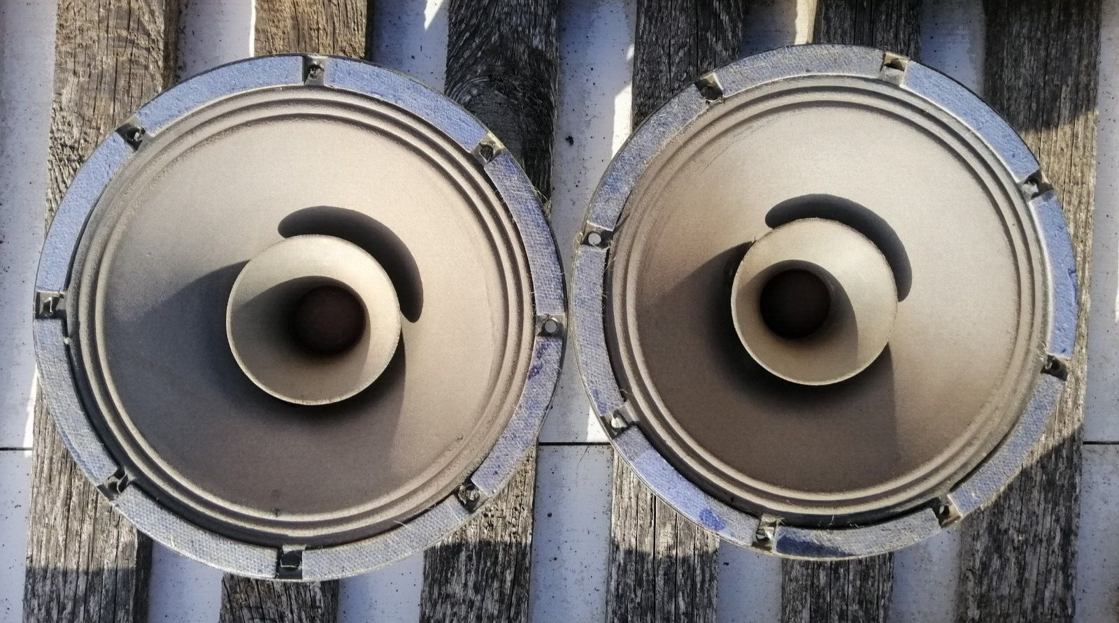 (x2) Pair of 11 inch paper full-range speakers 25GD18, vintage, USSR, Ferrit Mag