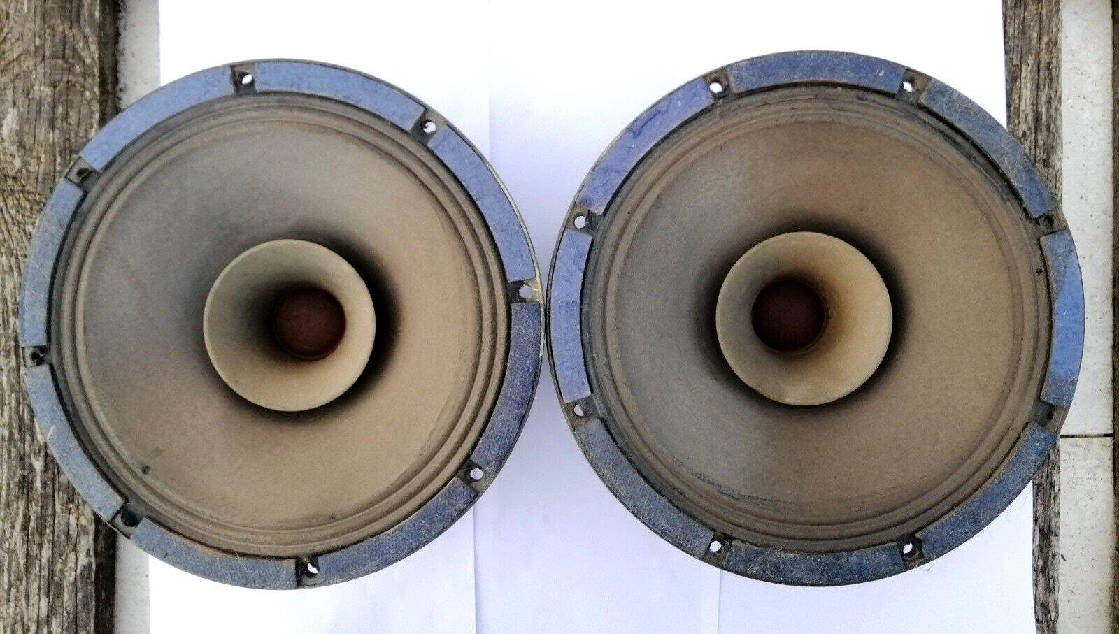 (x2) Pair of 11 inch paper full-range speakers 25GD18, vintage, USSR, Ferrit Mag