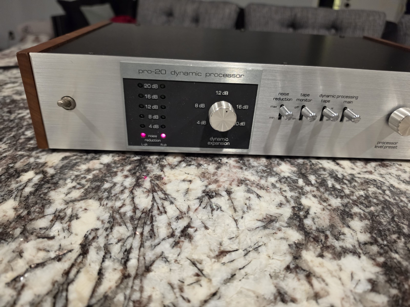 Vintage RG Pro-20 Stereo Dynamic Processor ( Read Description)