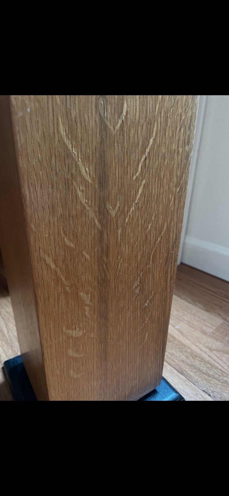 Ohm Micro Walsh Tall Speakers