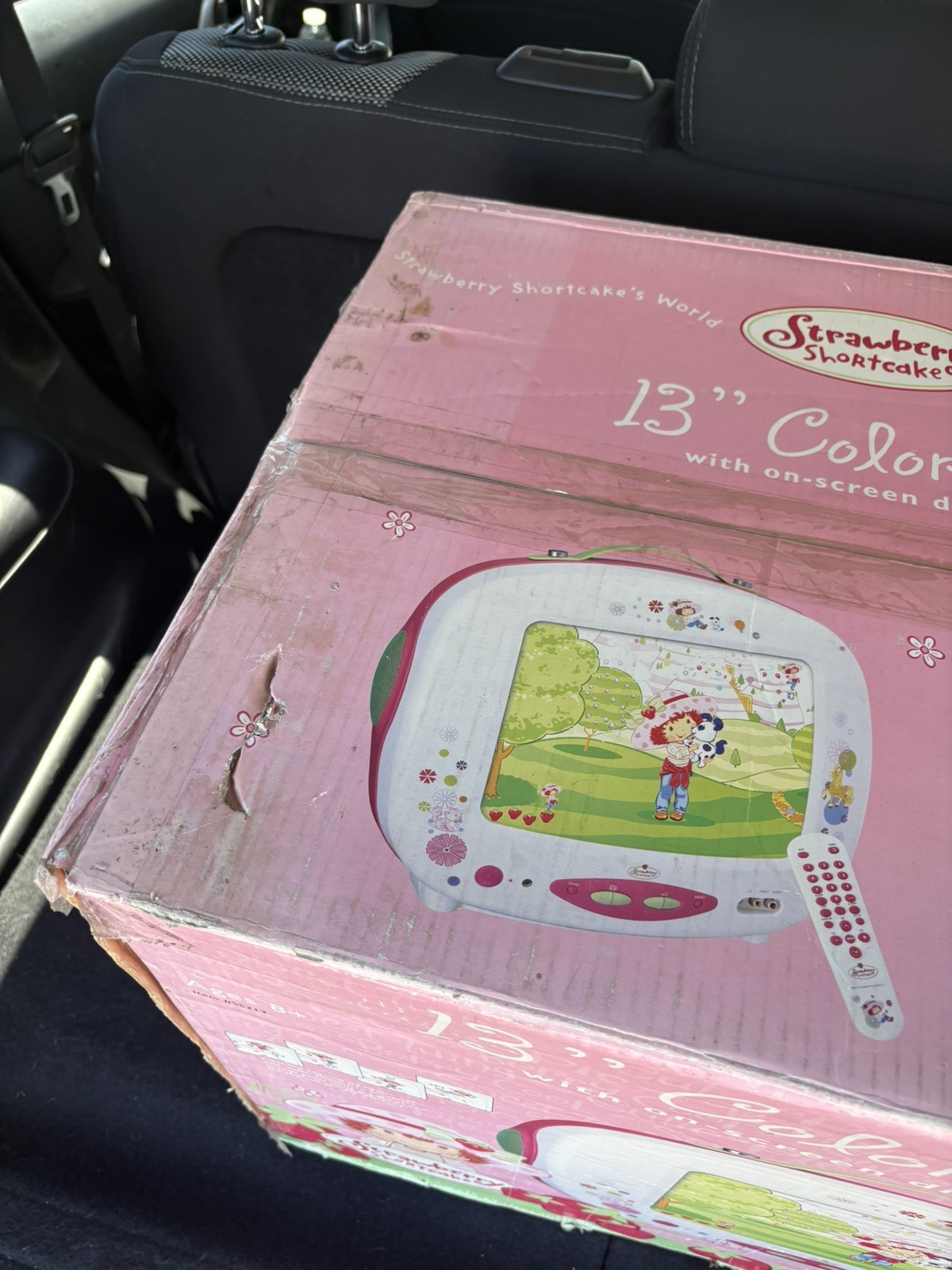 vintage crt tv strawberry shortcake brand NEW