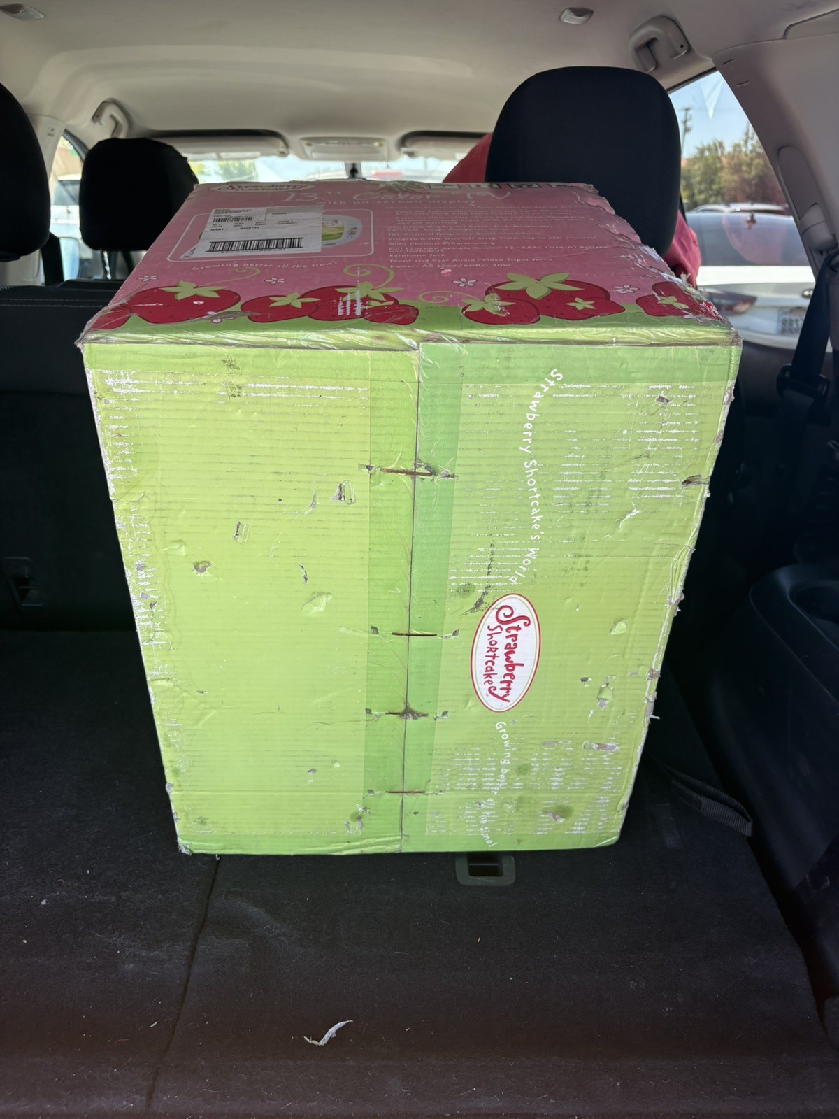 vintage crt tv strawberry shortcake brand NEW