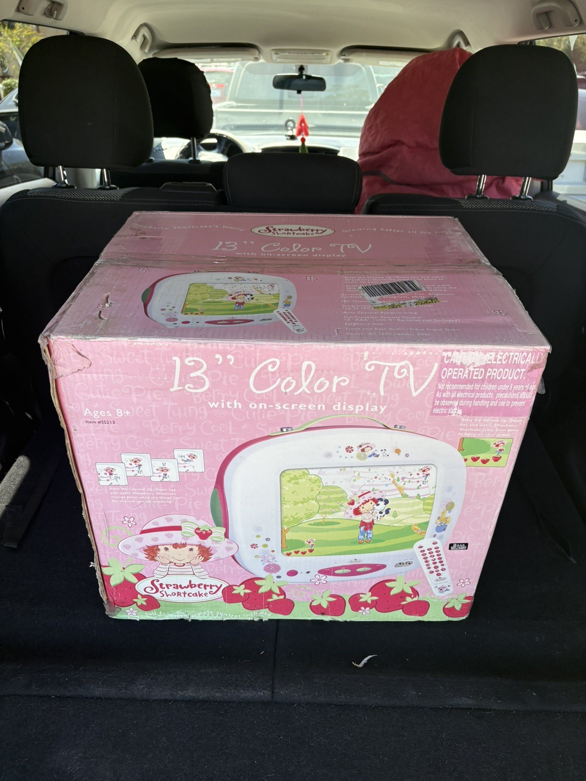 vintage crt tv strawberry shortcake brand NEW