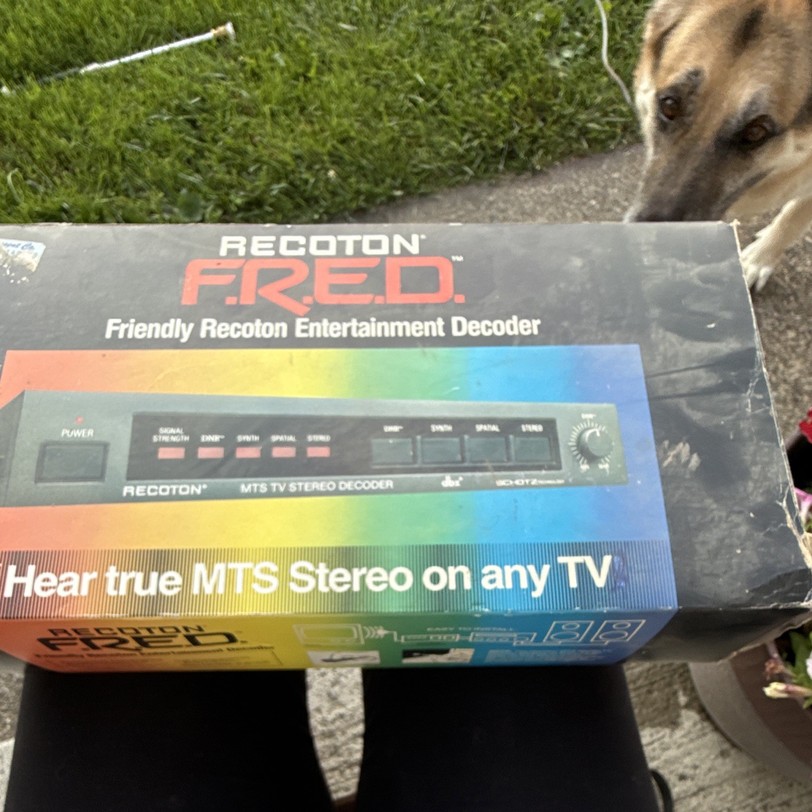 Recoton F.R.E.D. Friendly Recoton Entertainment Decoder MTS TV Stereo Decoder