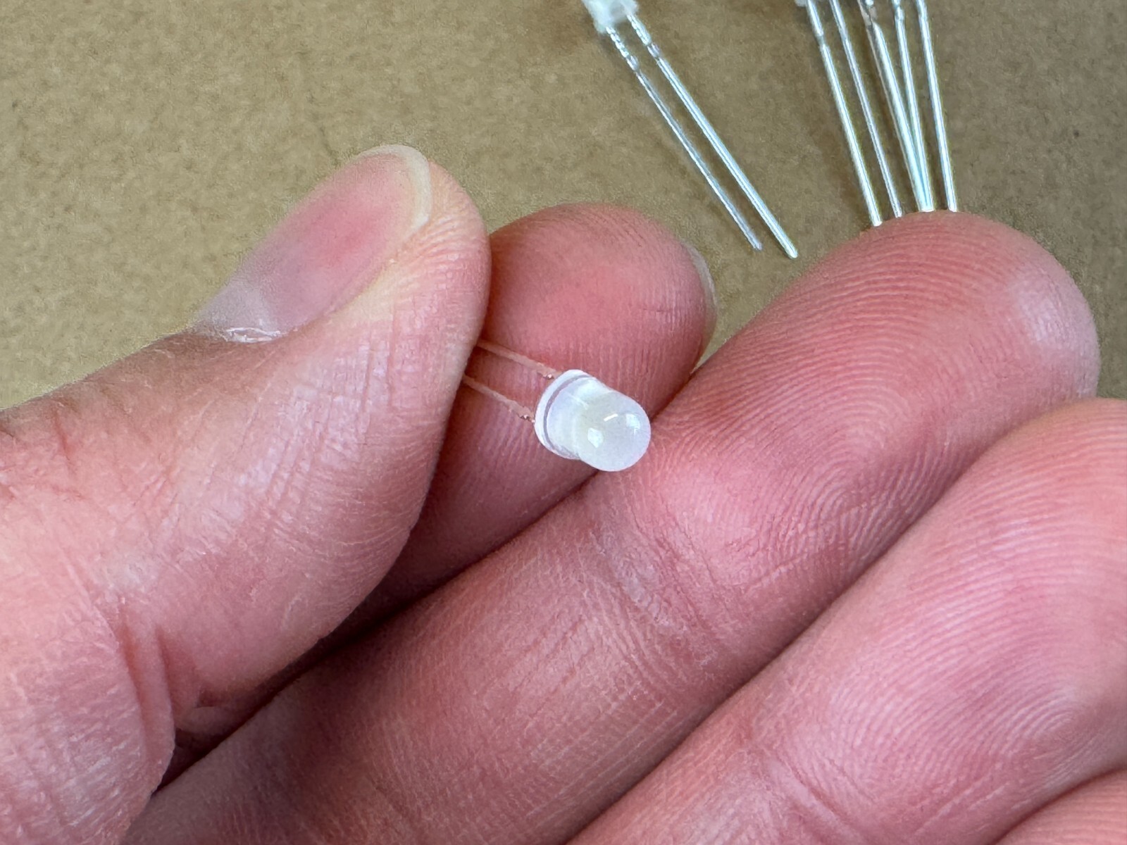 5 New FROSTED 8v 12v Grain-of-Wheat LED Lights 10v Lamp Bulbs 4MM Bare Wire