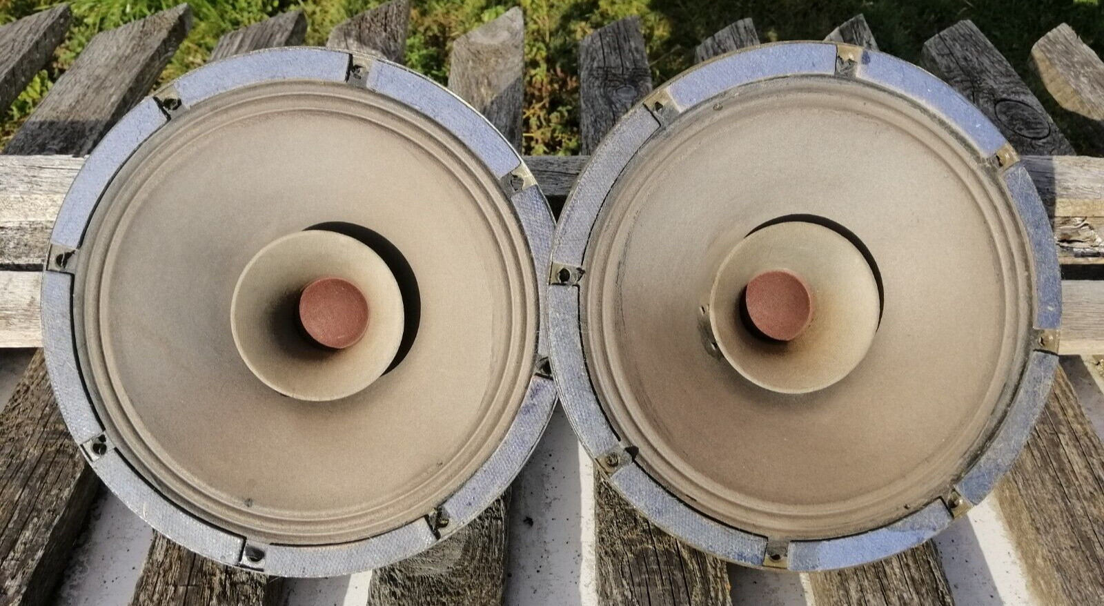 (x2) Pair of 11 inch paper full-range speakers 25GD18, vintage, USSR, Ferrit Mag