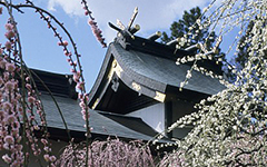 Yuki Shrine, Tsu City, Japan, 2002; color slide film