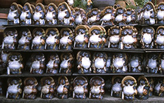 Shiga Raki, Japan, 2002; Color slide film