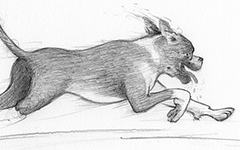 Phyllis' Definition of Beauty, 2012; Graphite pencil on paper