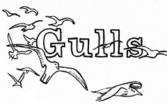 Gulls, Tibetan, 2010; Etching, coloring book page