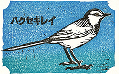 Hakusekirei, 2002; Woodblock print